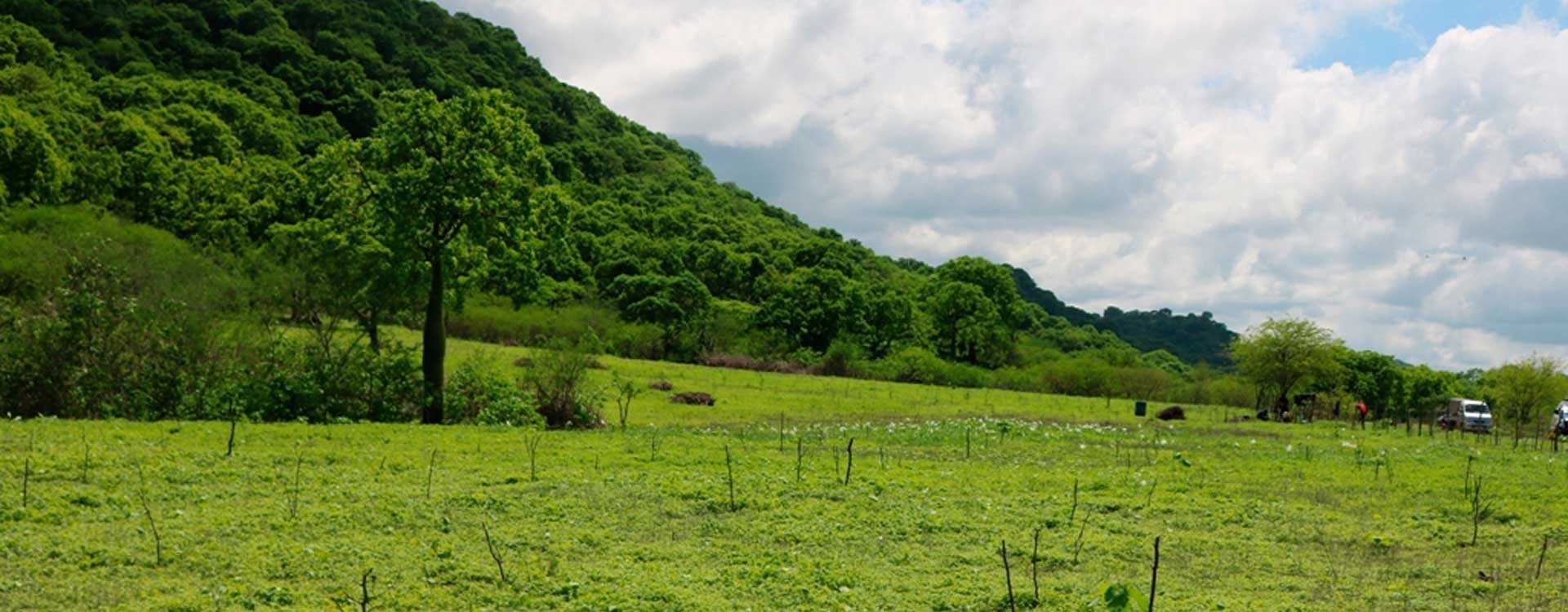 Medio ambiente